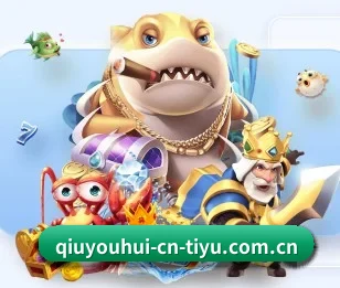 平台简介 - 体育资讯内容服务 - QYSports