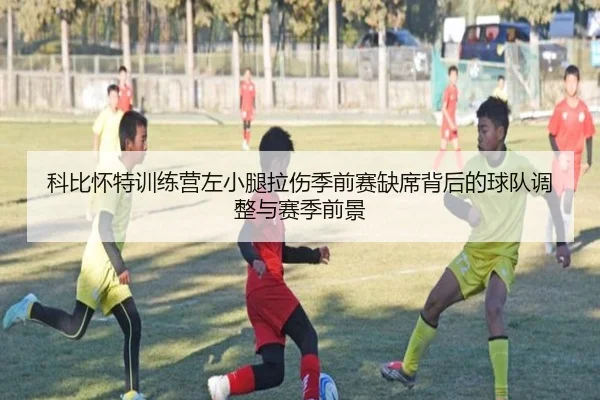 科比怀特训练营左小腿拉伤季前赛缺席背后的球队调整与赛季前景 | QYSports